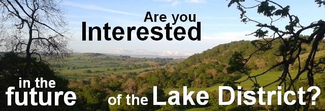 Questionnaire banner